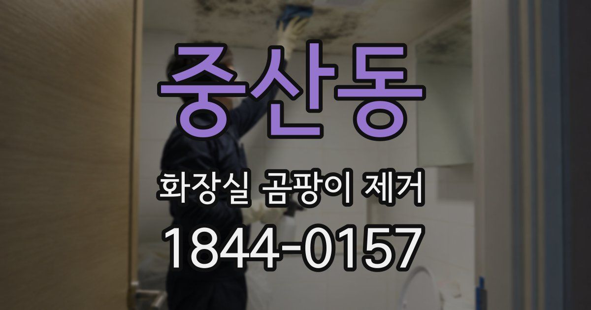 중산동 화장실 곰팡이 제거