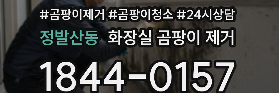 정발산동 화장실 곰팡이 제거