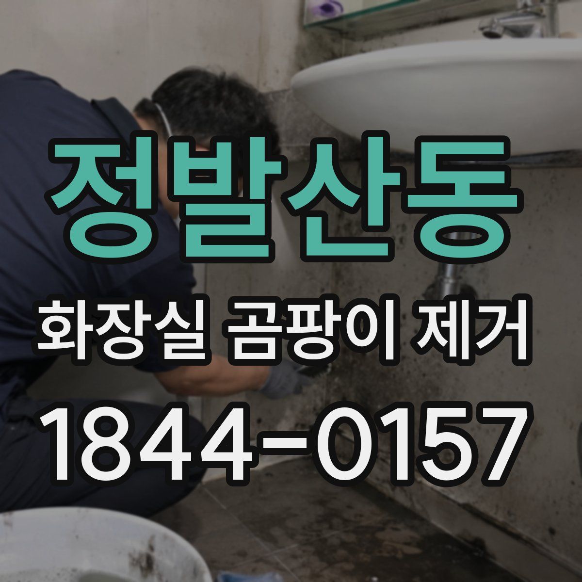 정발산동 화장실 곰팡이 제거