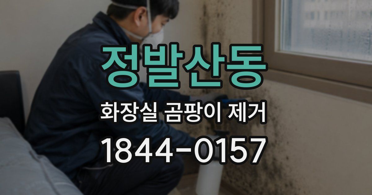 정발산동 화장실 곰팡이 제거