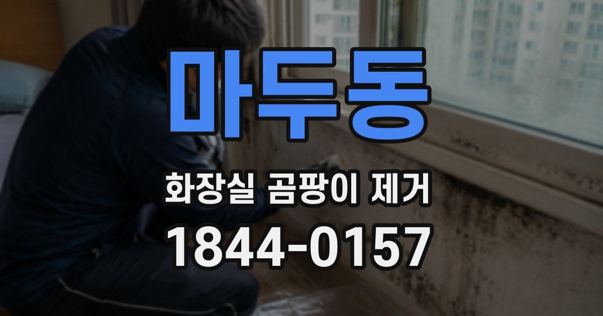 마두동 화장실 곰팡이 제거