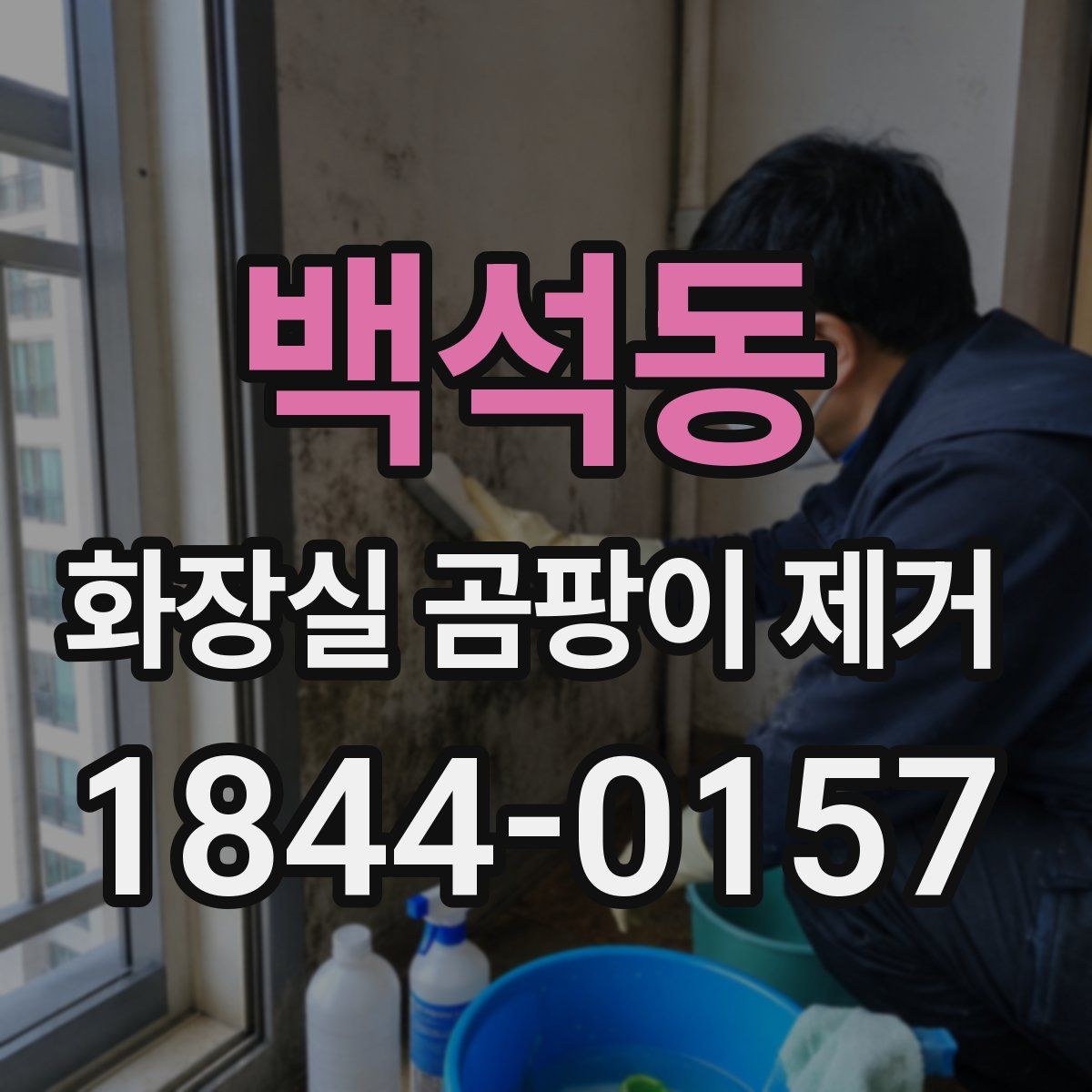 백석동 화장실 곰팡이 제거