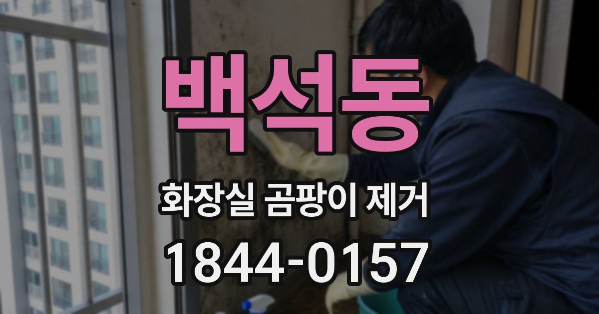 백석동 화장실 곰팡이 제거