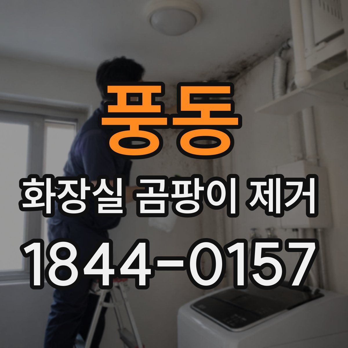 풍동 화장실 곰팡이 제거