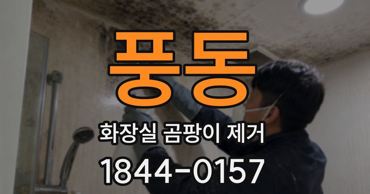 풍동 화장실 곰팡이 제거