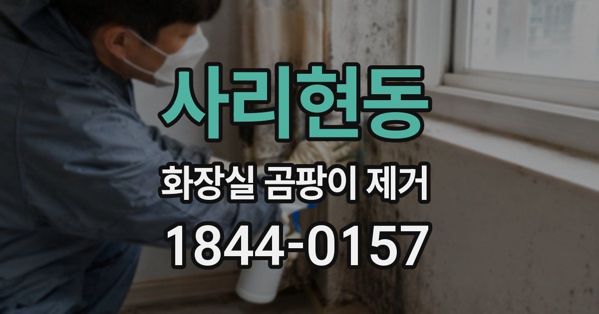 사리현동 화장실 곰팡이 제거