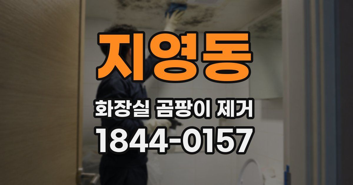 지영동 화장실 곰팡이 제거