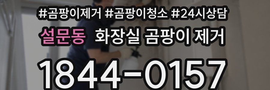 설문동 화장실 곰팡이 제거