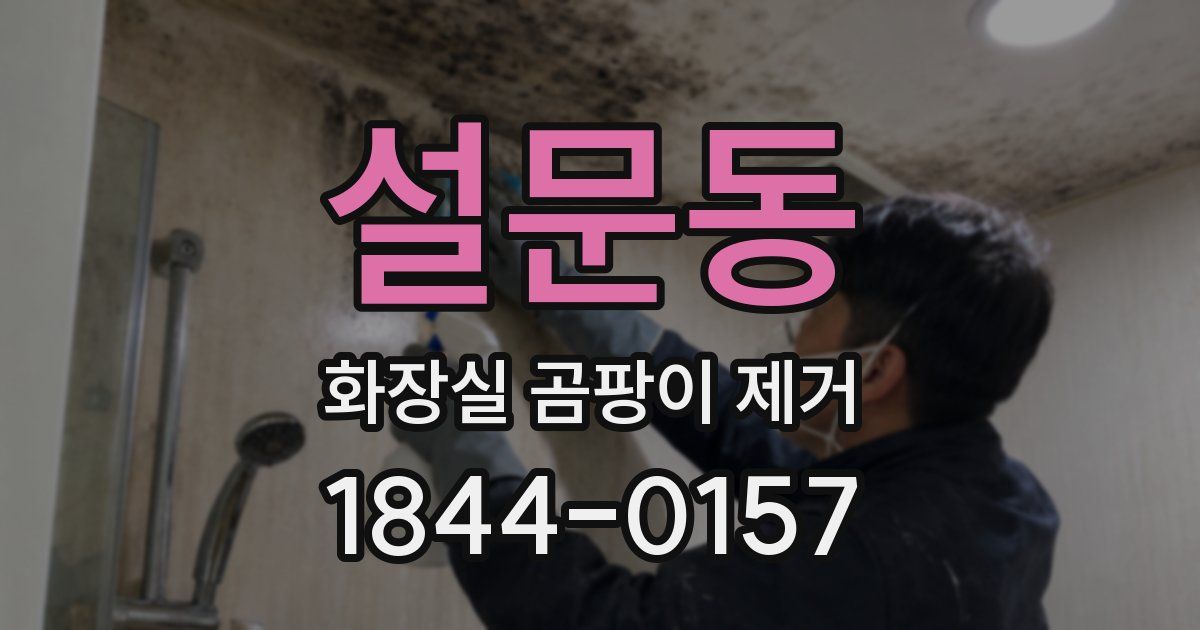 설문동 화장실 곰팡이 제거