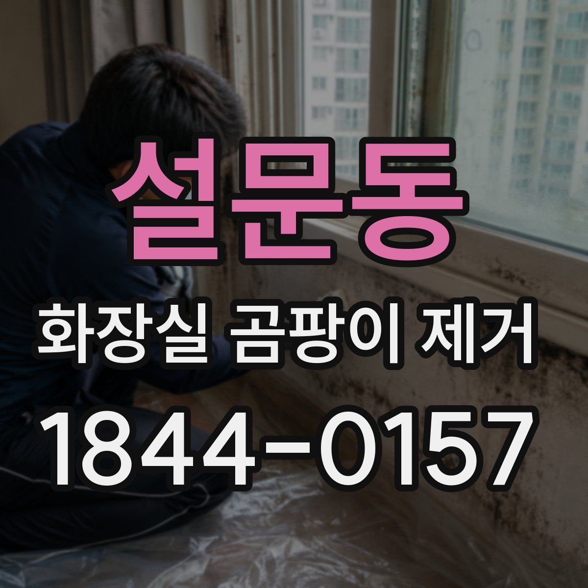 설문동 화장실 곰팡이 제거