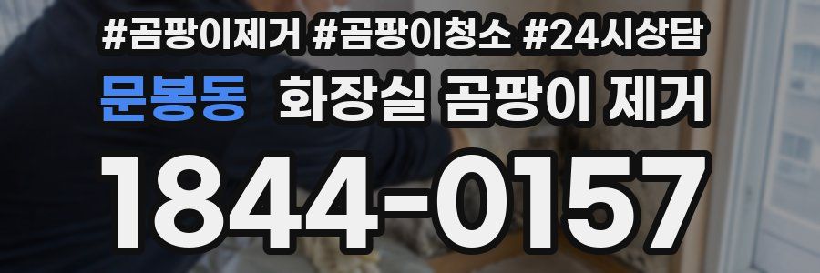 문봉동 화장실 곰팡이 제거
