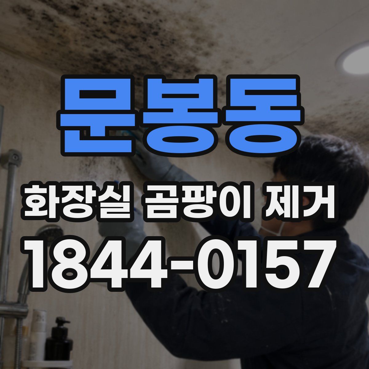 문봉동 화장실 곰팡이 제거