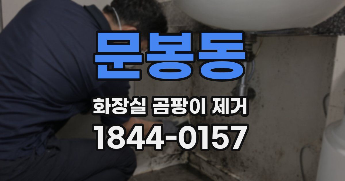 문봉동 화장실 곰팡이 제거