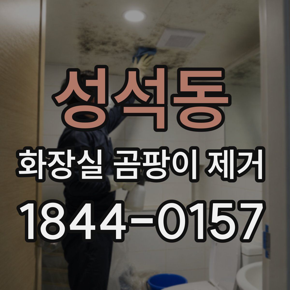 성석동 화장실 곰팡이 제거