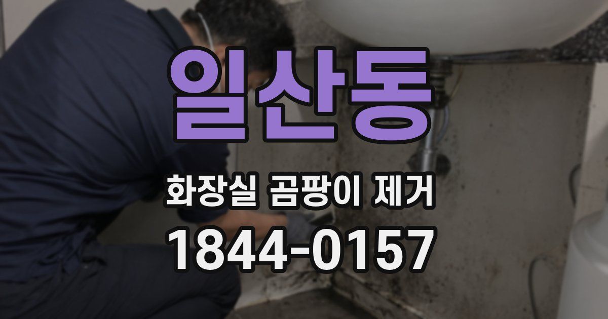 일산동 화장실 곰팡이 제거