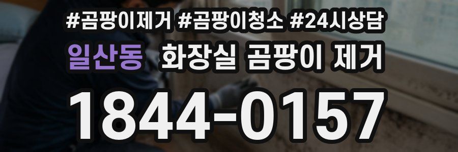 일산동 화장실 곰팡이 제거