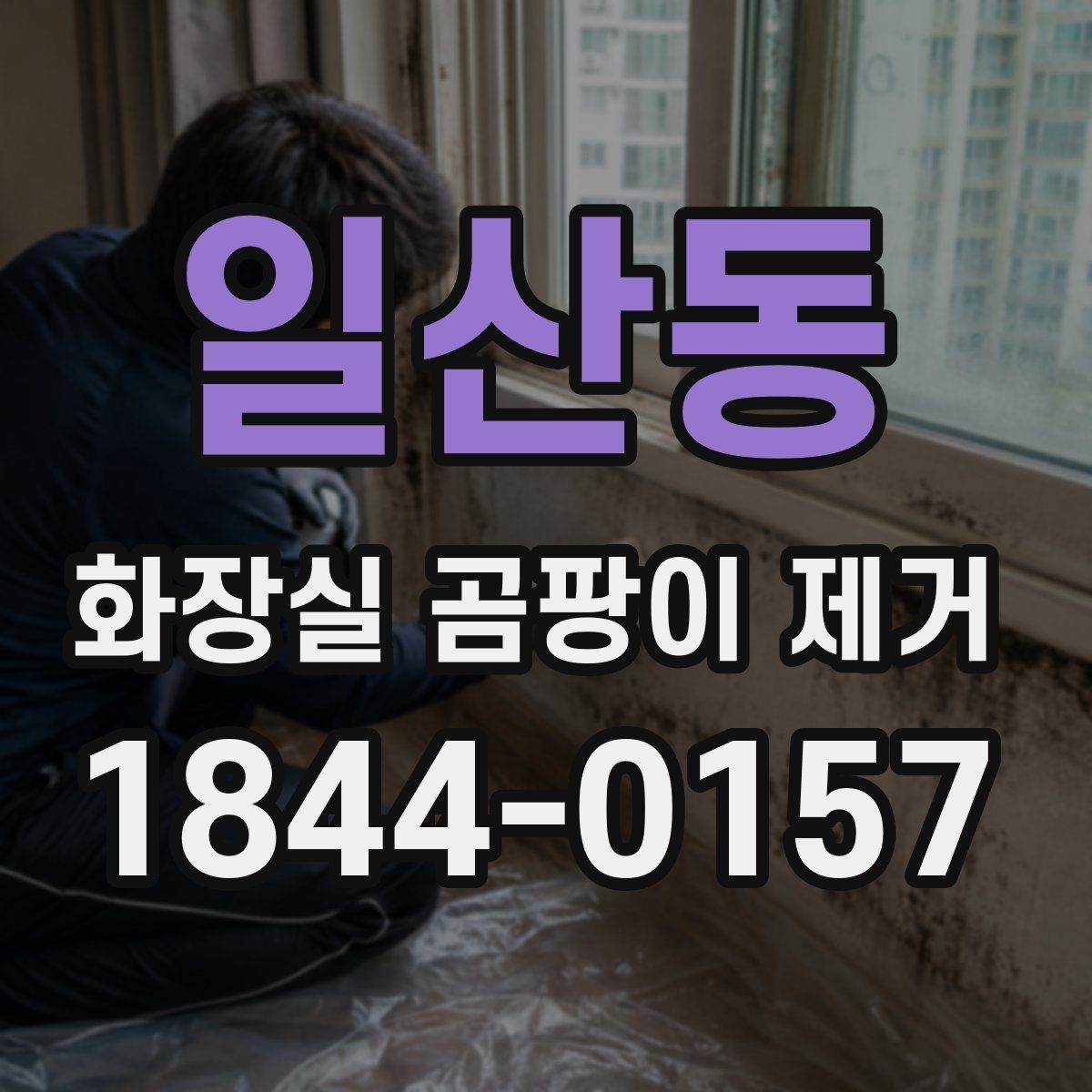 일산동 화장실 곰팡이 제거