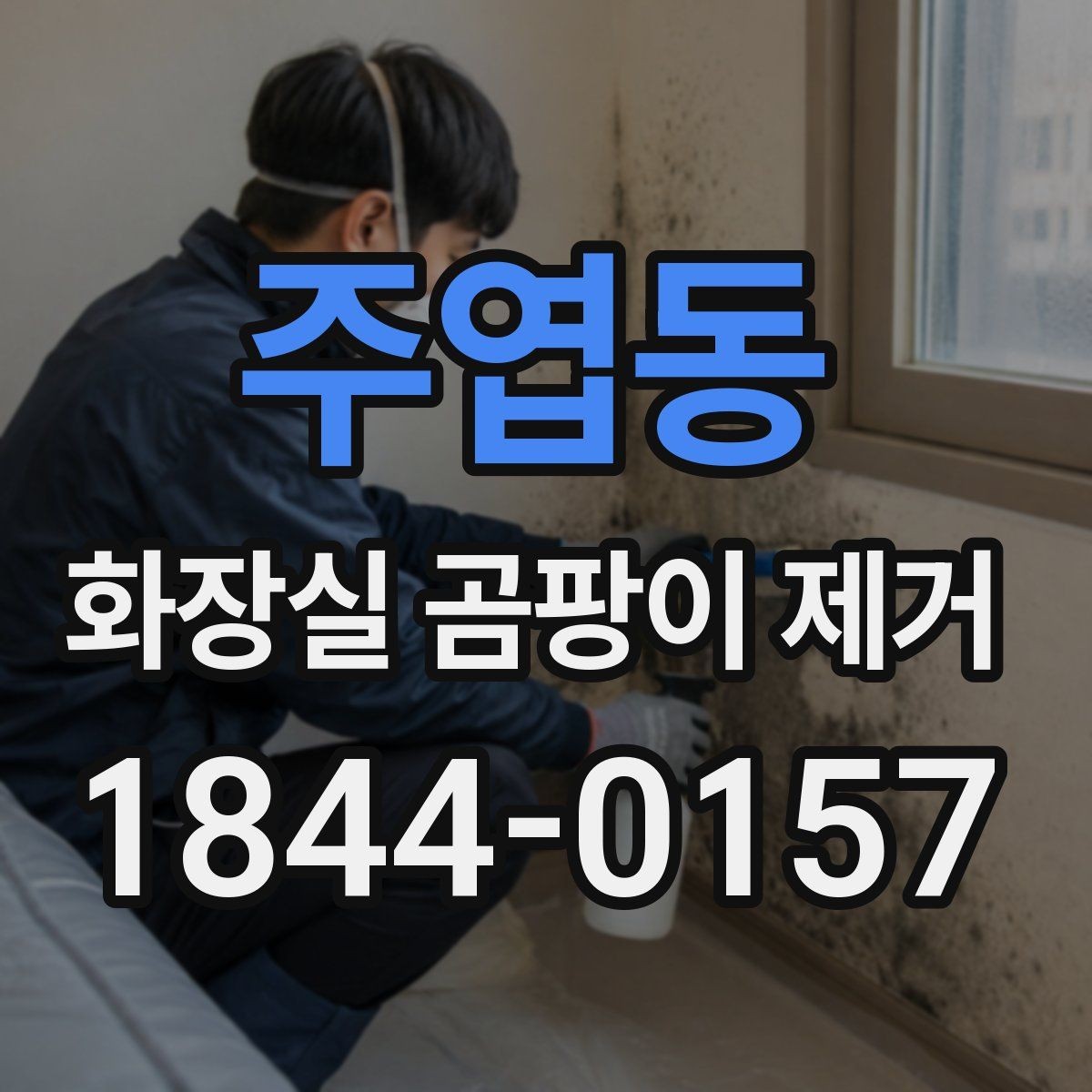 주엽동 화장실 곰팡이 제거 전 알아둘 제거제 성분별 차이