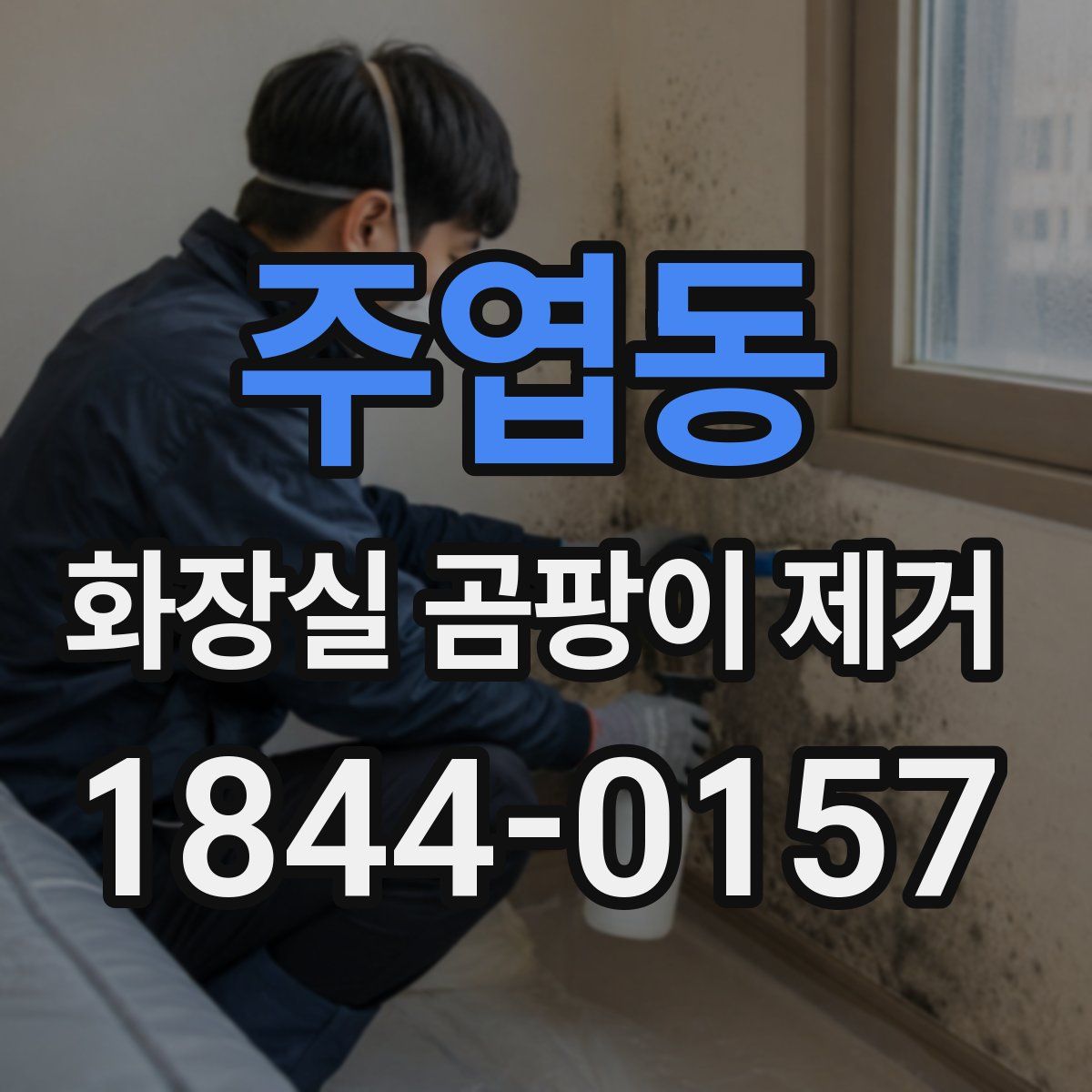 주엽동 화장실 곰팡이 제거