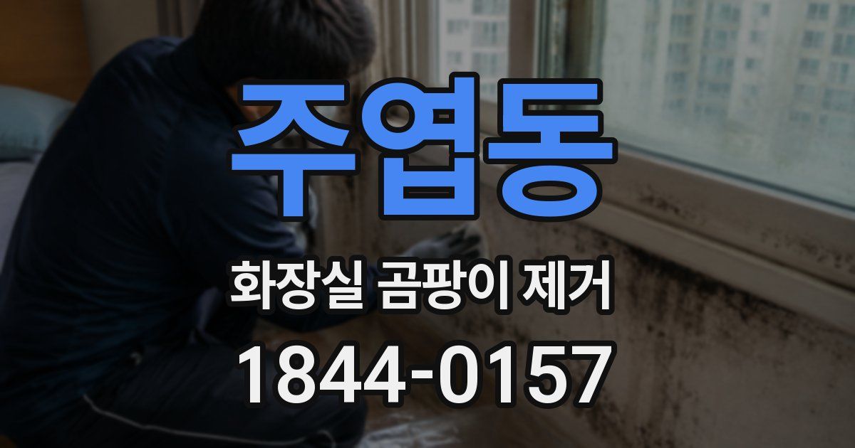 주엽동 화장실 곰팡이 제거