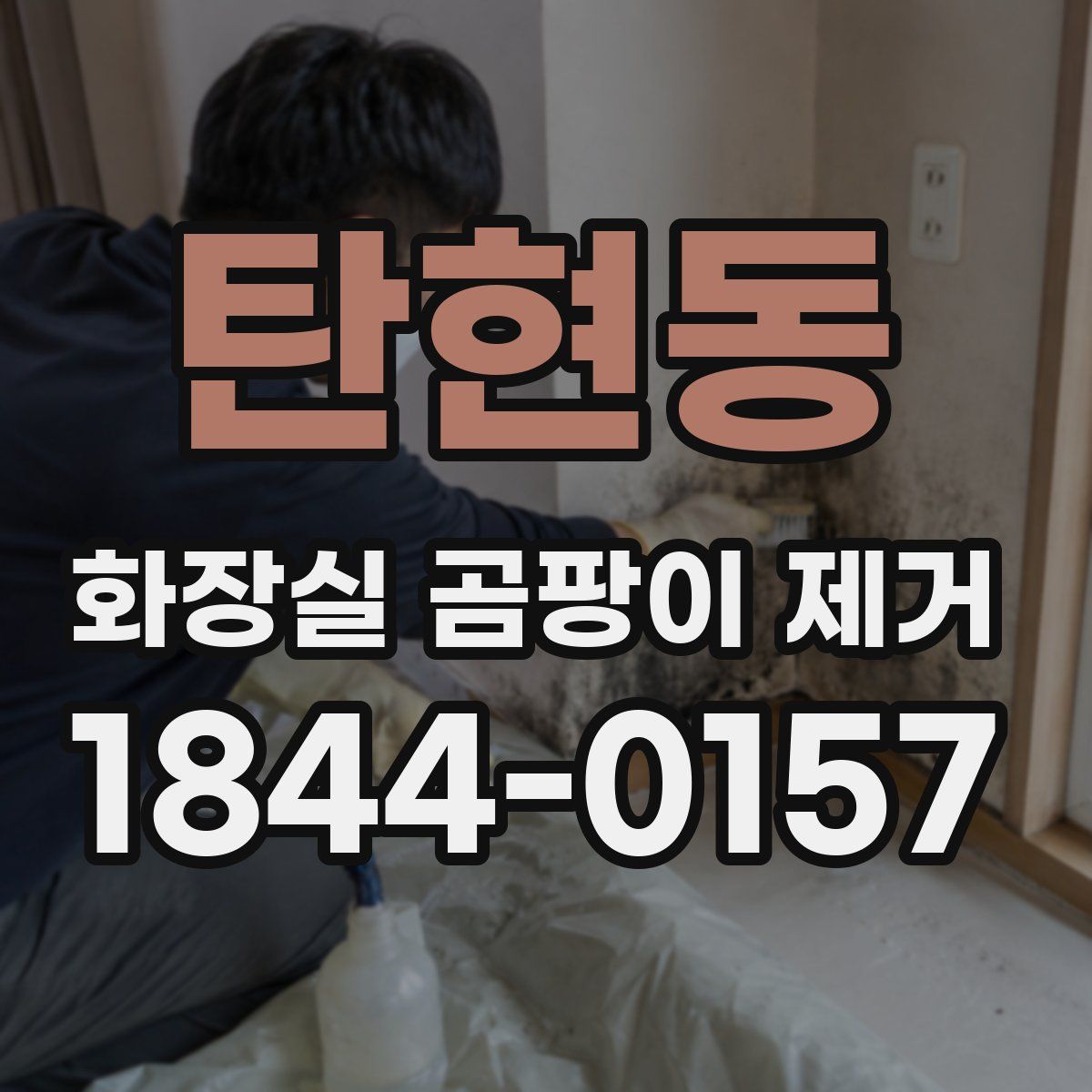 탄현동 화장실 곰팡이 제거