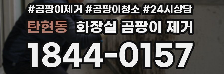 탄현동 화장실 곰팡이 제거