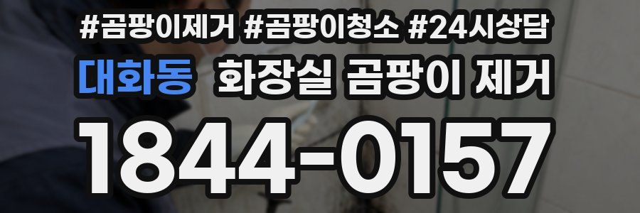 대화동 화장실 곰팡이 제거