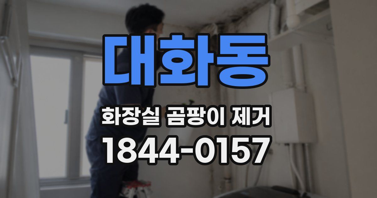 대화동 화장실 곰팡이 제거
