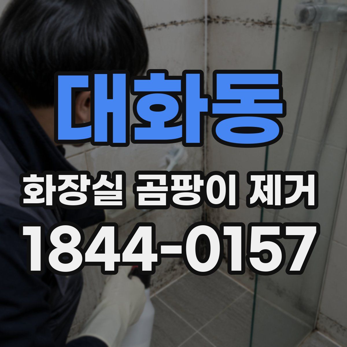 대화동 화장실 곰팡이 제거