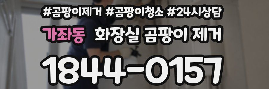 가좌동 화장실 곰팡이 제거