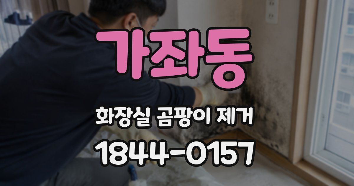 가좌동 화장실 곰팡이 제거