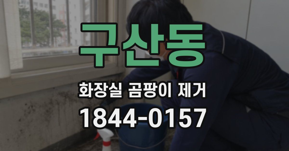 구산동 화장실 곰팡이 제거