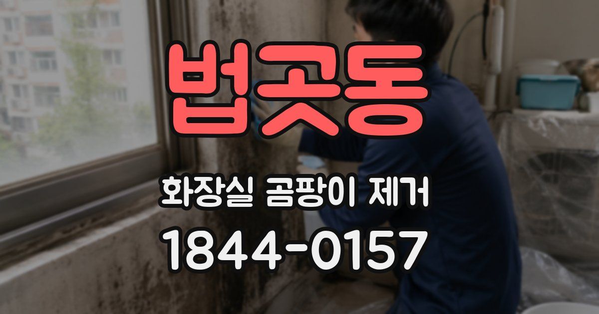 법곳동 화장실 곰팡이 제거