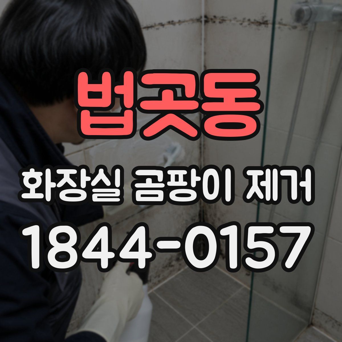 법곳동 화장실 곰팡이 제거