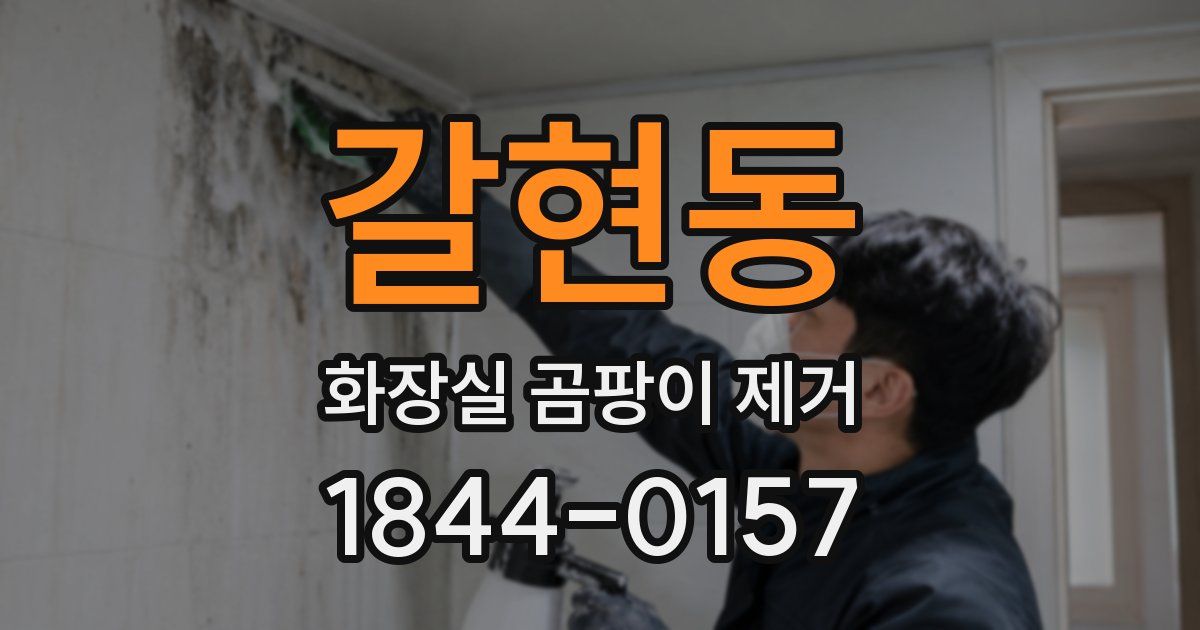 갈현동 화장실 곰팡이 제거