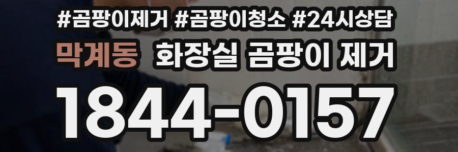 막계동 화장실 곰팡이 제거