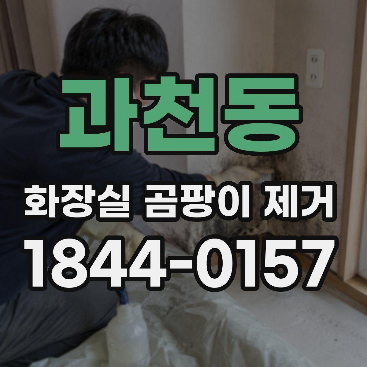 과천동 화장실 곰팡이 제거