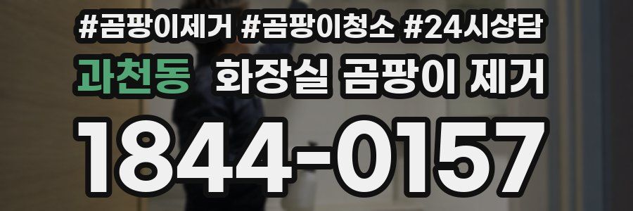 과천동 화장실 곰팡이 제거