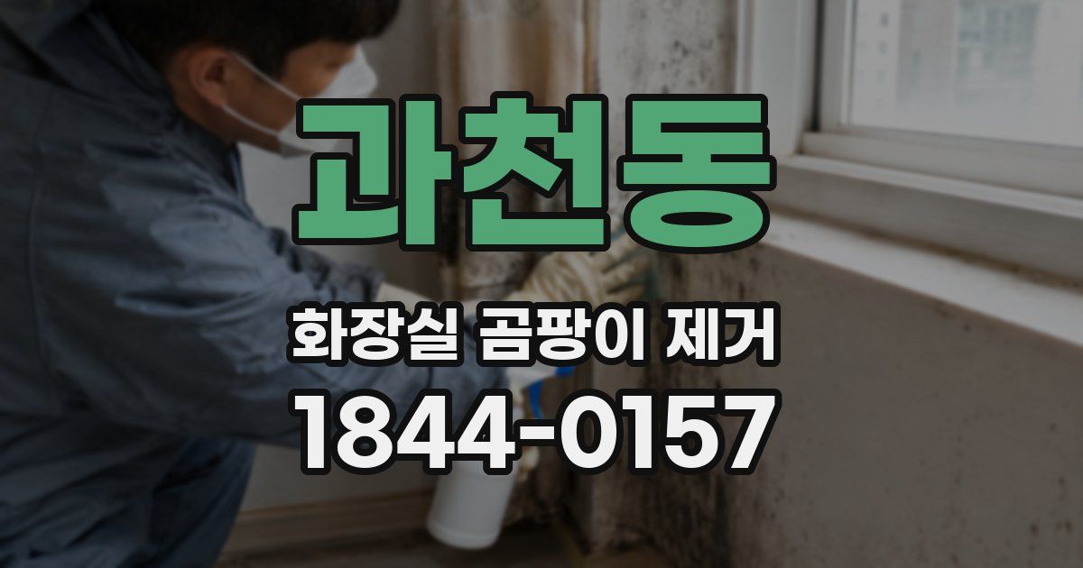과천동 화장실 곰팡이 제거