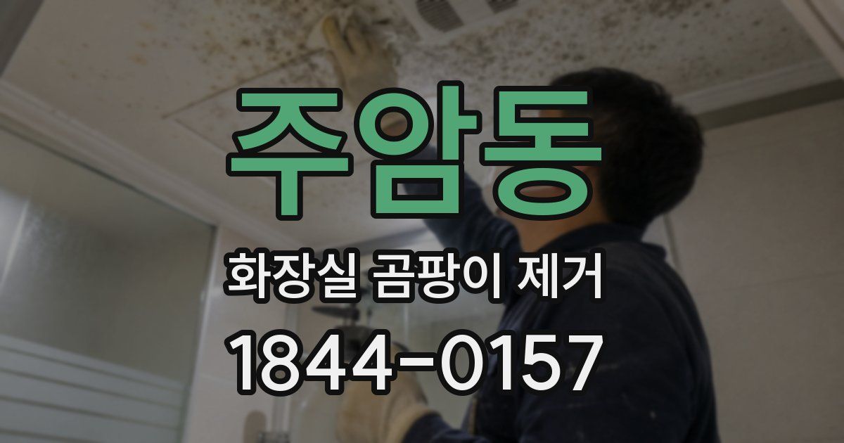 주암동 화장실 곰팡이 제거