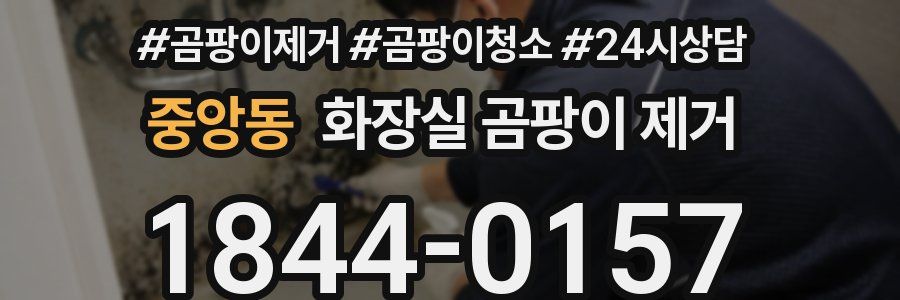 중앙동 화장실 곰팡이 제거