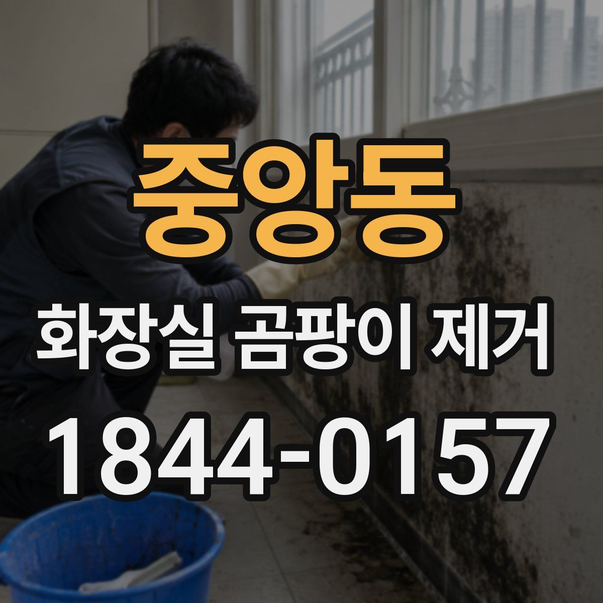 중앙동 화장실 곰팡이 제거