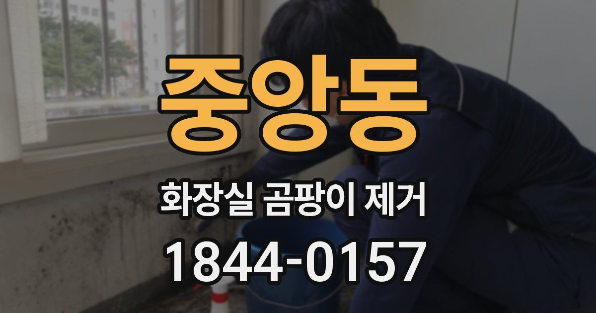 중앙동 화장실 곰팡이 제거