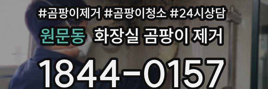 원문동 화장실 곰팡이 제거