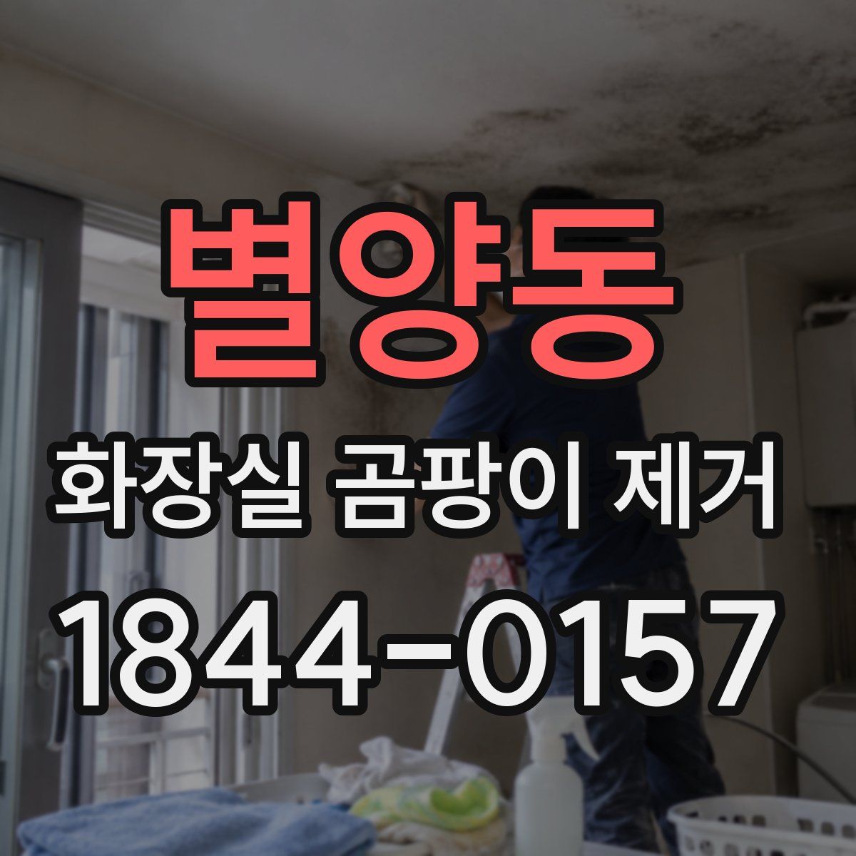 별양동 화장실 곰팡이 제거