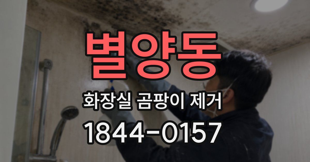별양동 화장실 곰팡이 제거