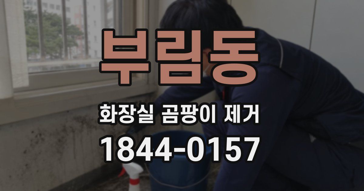 부림동 화장실 곰팡이 제거