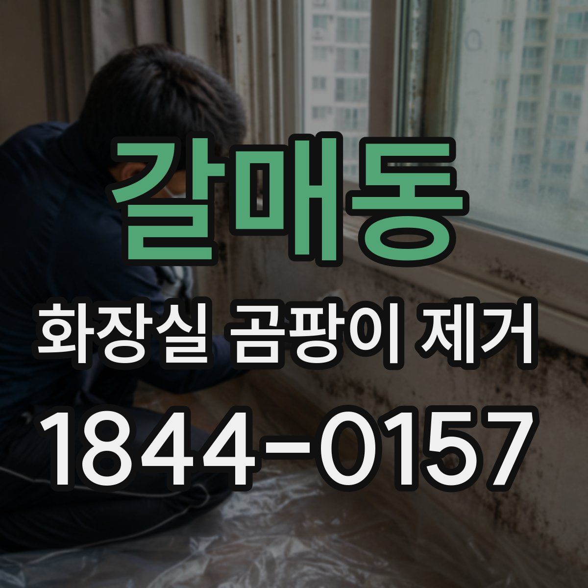 갈매동 화장실 곰팡이 제거