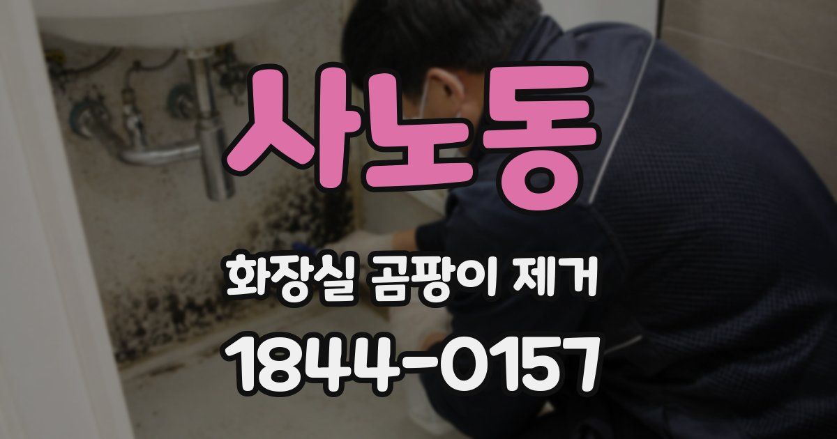 사노동 화장실 곰팡이 제거