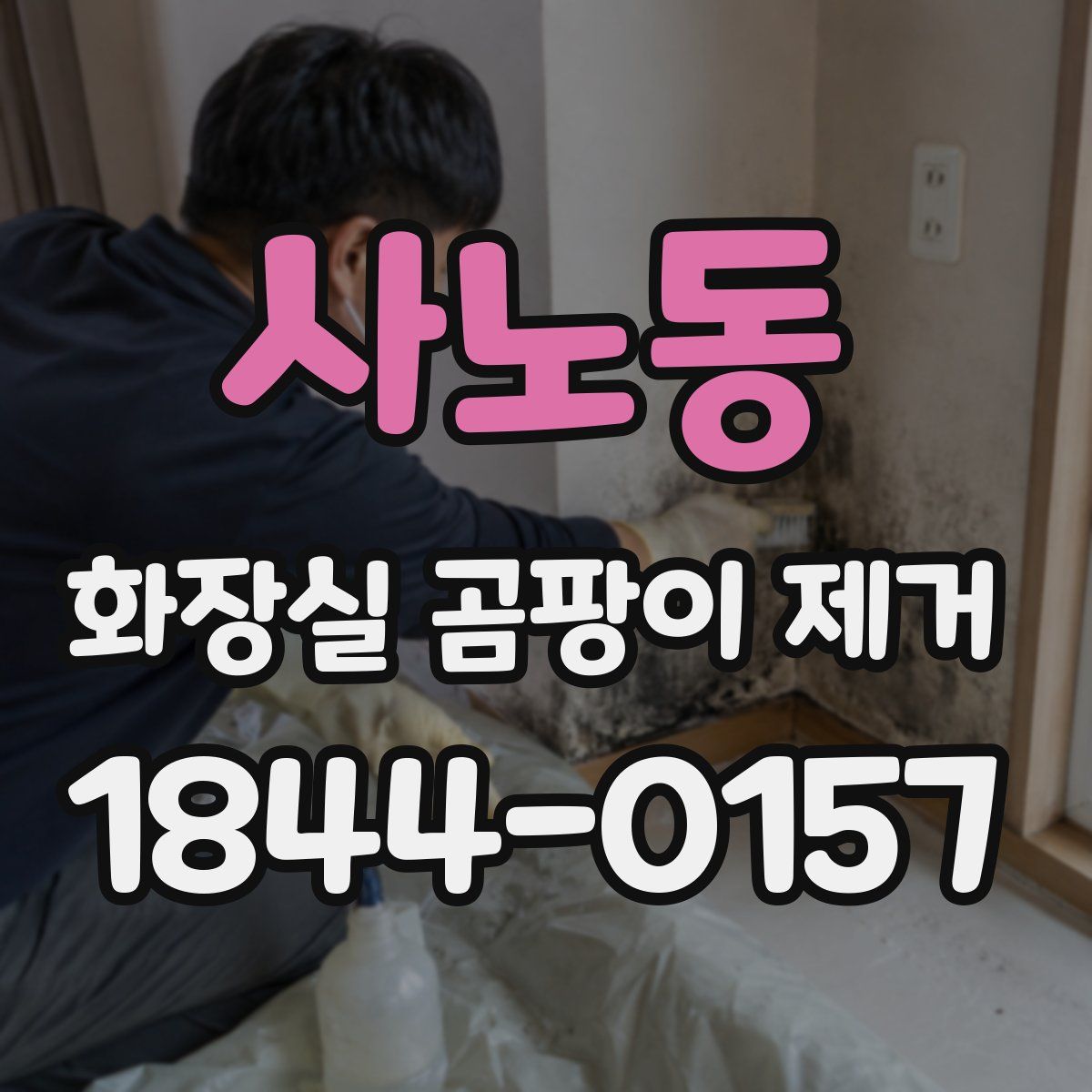 사노동 화장실 곰팡이 제거